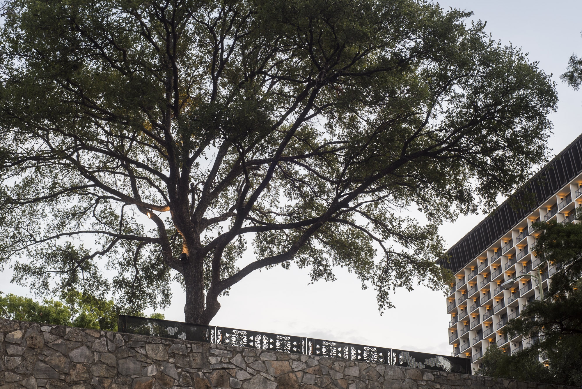 Green Spaces on Market Street